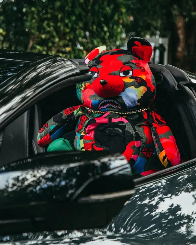 CAMOBURST MONEYBEAR TEDDYBEAR ZANIO