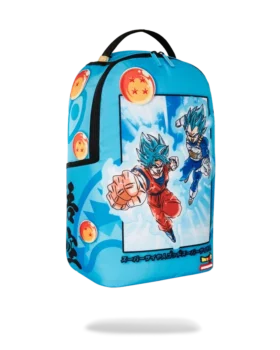DRAGON BALL Z SUPER SAIYAN BLU GOKU E VEGETA