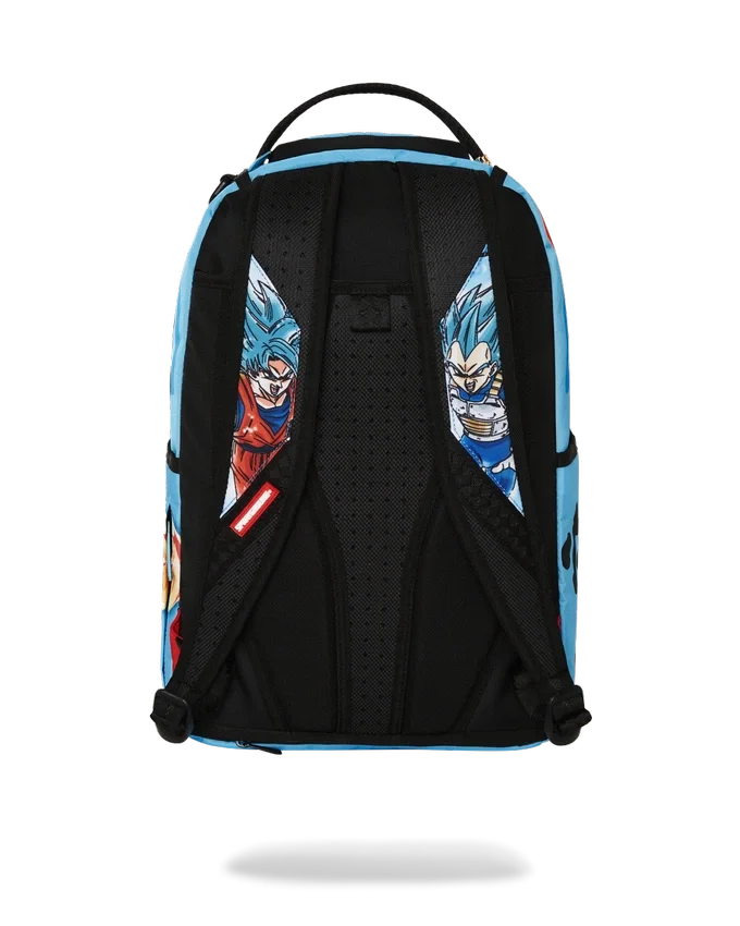 DRAGON BALL Z SUPER SAIYAN BLU GOKU E VEGETA