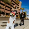 I MONEYBOYS HANNO CAPITO IL COMPITO
