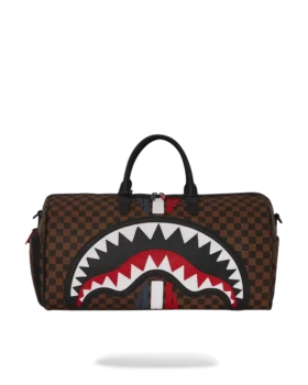 SHARKS IN PARIS GT Borsoni
