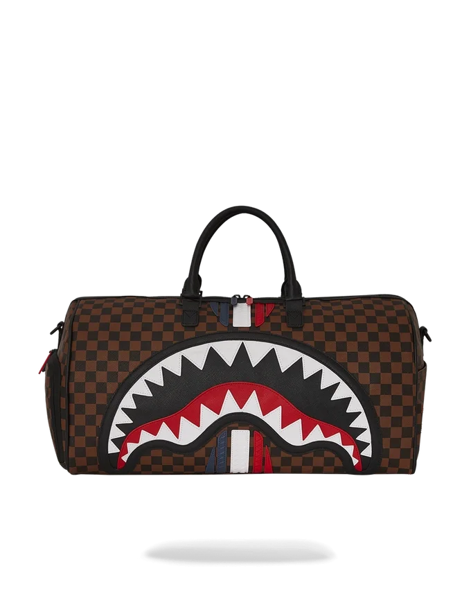 SHARKS IN PARIS GT Borsoni