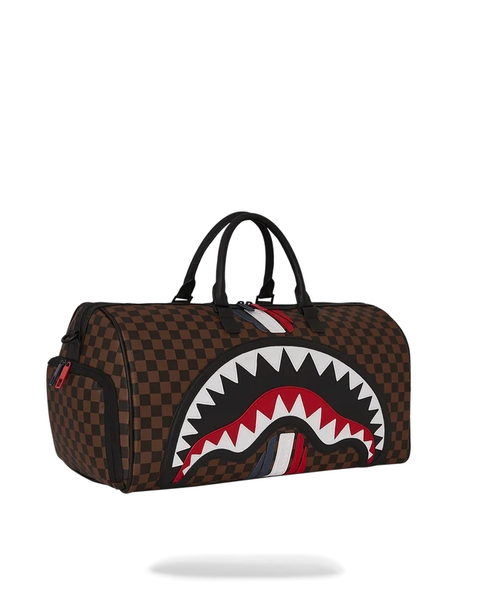 SHARKS IN PARIS GT Borsoni