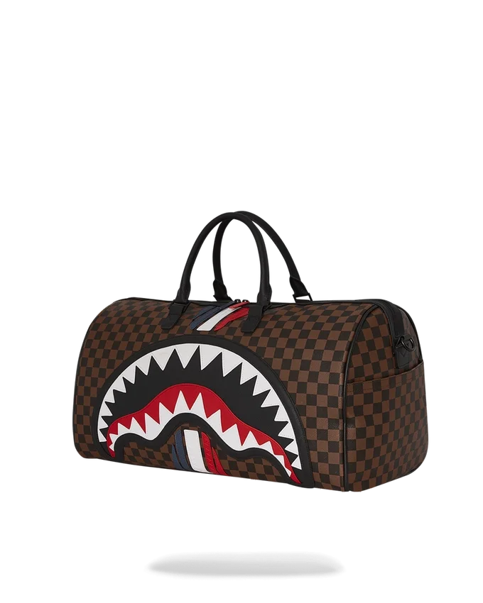 SHARKS IN PARIS GT Borsoni