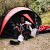 Tenda SKY HIGH SEEKERS ARCTIC AUTO-POP