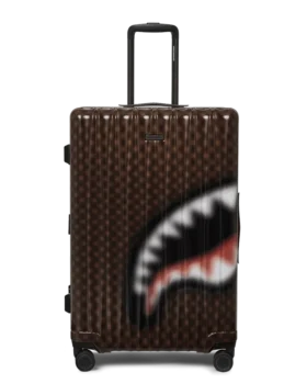 VALIGERIA SHARKS IN PARIS CON EFFETTO SFOCATO
