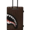 VALIGERIA SHARKS IN PARIS CON EFFETTO SFOCATO