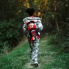 Zaini MONEYBEAR ARCTIC GPS DI SKY HIGH SEEKERS