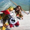 Zaini MONEYBEAR TEDDYBEAR DI SHARK FRIENDS