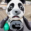 Zaini MONEYBEAR TEDDYBEAR PANDA PANDA PANDA