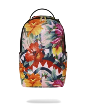 ZAINO HUMMINGBIRD SHARK PRECISION