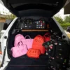 Zaino JAMES FIRST CLASS FIRST LADY MINI CHATEAU