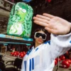 ZAINO MONEY BEAR MONEY BUSH
