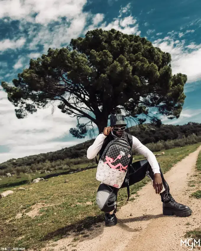 Zaino "ONE IN A MILLION" della Pantera Rosa (DLXV)